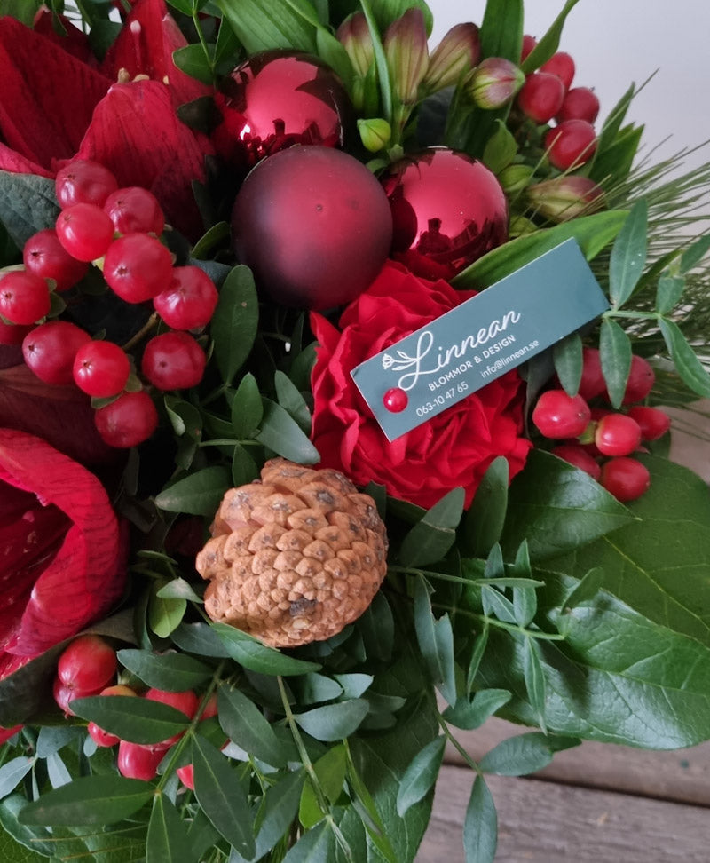 Röd Amaryllisbukett