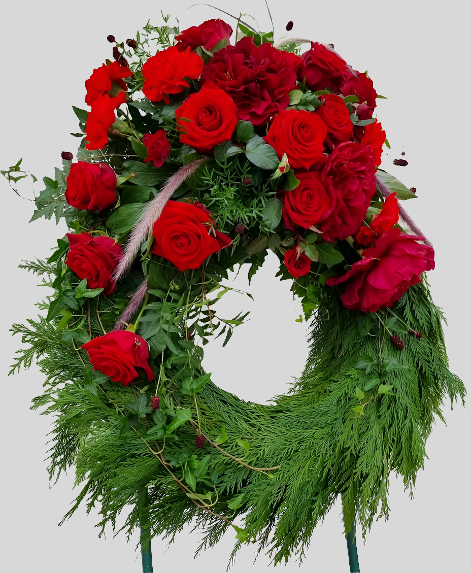 Krans cypress, med band