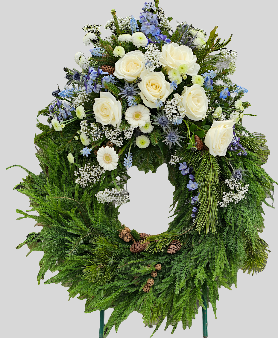 Krans cypress, med band