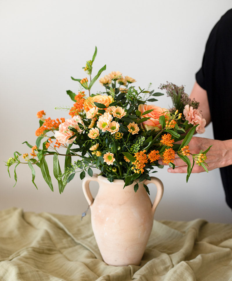 Floristens Aprikosa