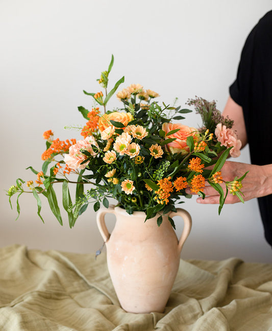 Floristens Aprikosa